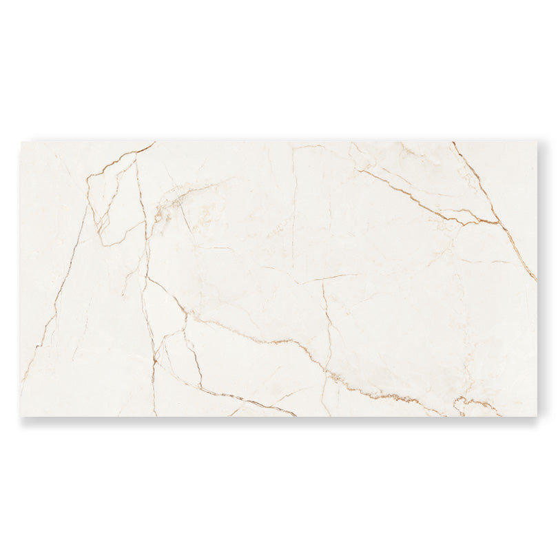 Quantum Natural Modulo Grande Matt Finish Porcelain Tile (Sample)