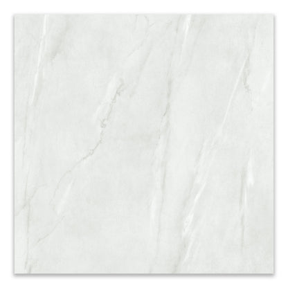 Alley White Silk Matt Finish Porcelain Tile 100x100