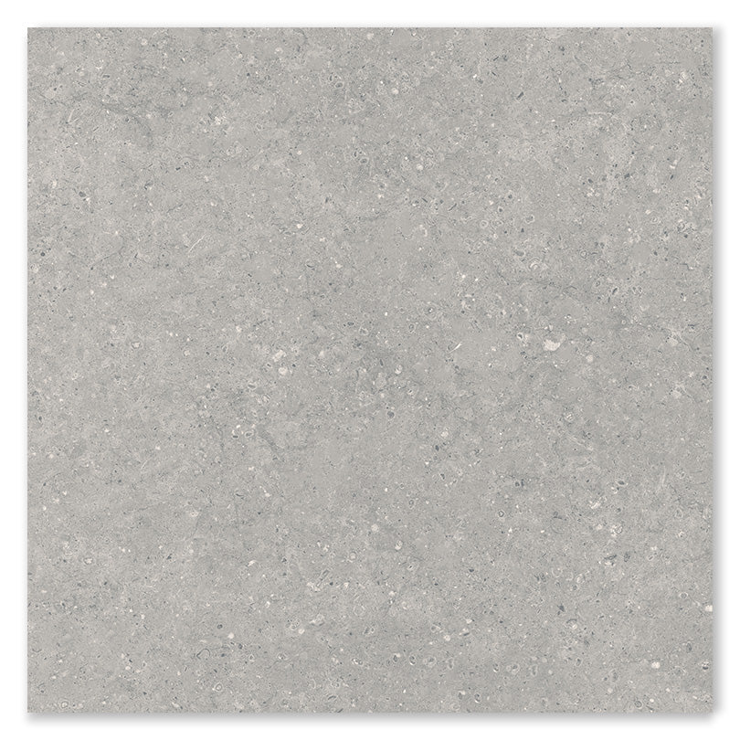 Asphalt Stone Grey Outdoor Paving Porcelain Tile