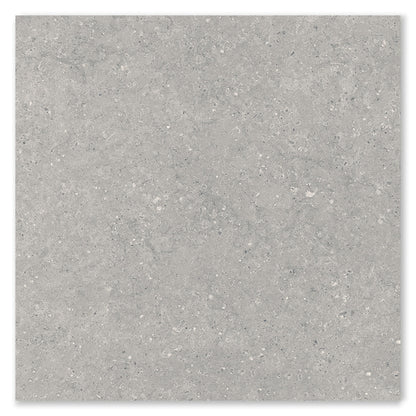 Asphalt Stone Grey Outdoor Paving Porcelain Tile
