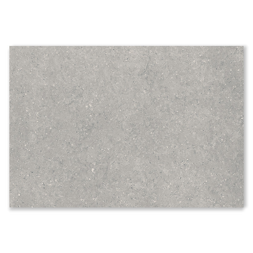Asphalt Stone Grey Outdoor Paving Porcelain Tile