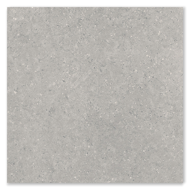 Asphalt Stone Grey Outdoor Paving Porcelain Tile