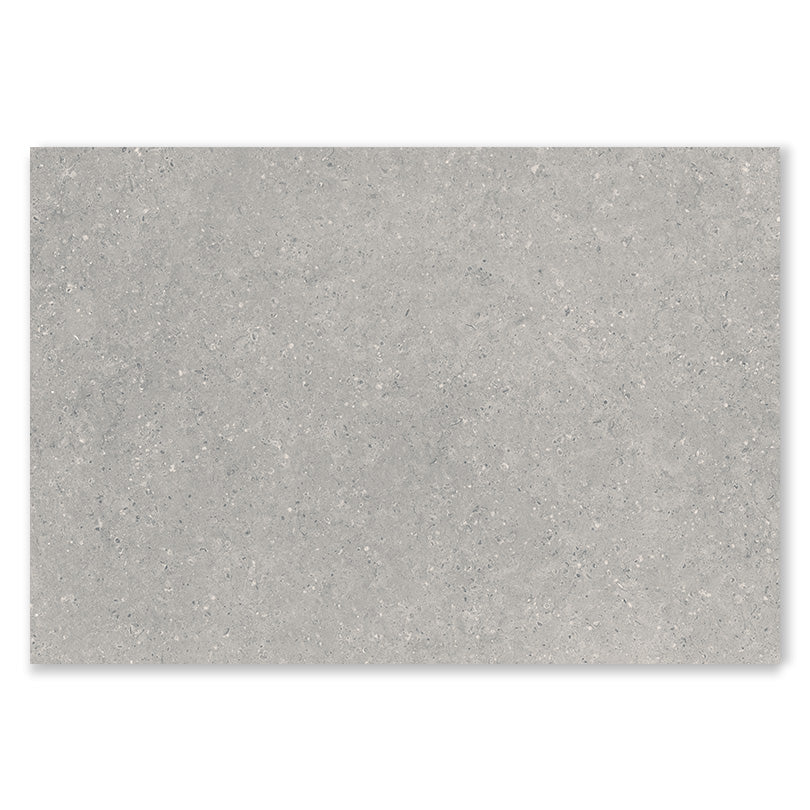 Asphalt Stone Grey Outdoor Paving Porcelain Tile