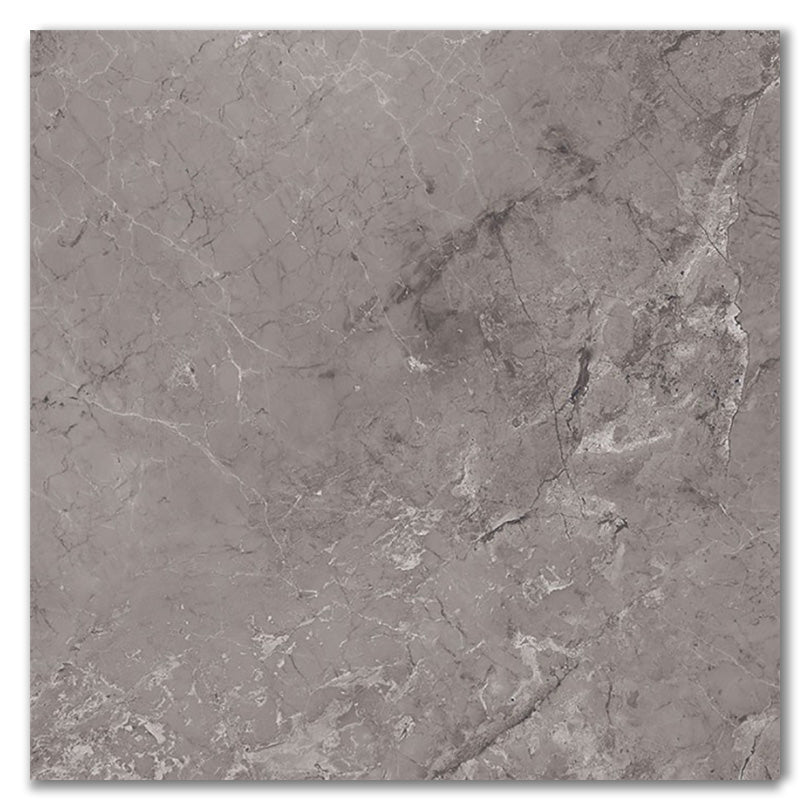 Castano Gris Polished Porcelain Tiles RTC (Sample)
