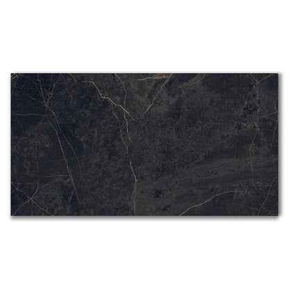 Epoque Black & Gold Marble Effect Tile (Sample)