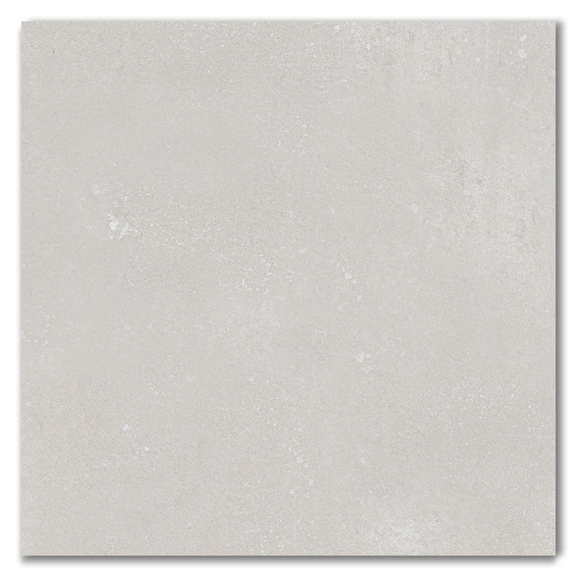 Ornate Autumn White Matt Finish Porcelain Tile (Sample)