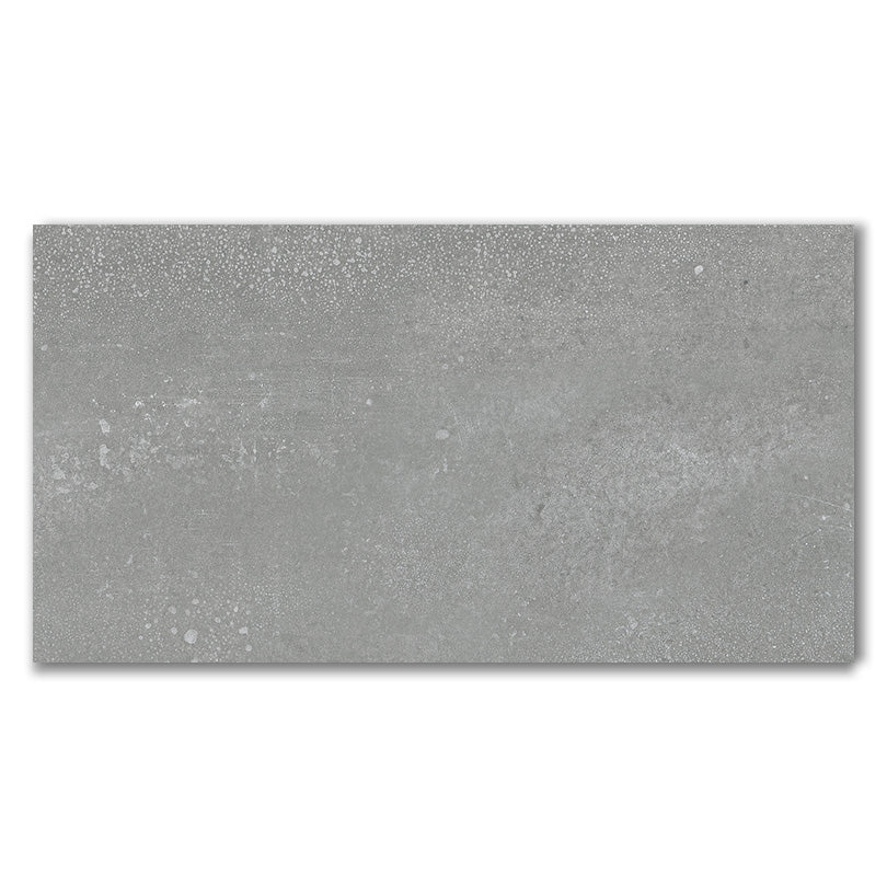Ornate Autumn Grey Matt Porcelain Wall And Floor Tile (Sample)