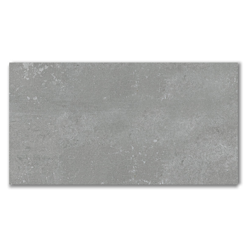 Ornate Autumn Grey Matt Porcelain Wall And Floor Tile (Sample)