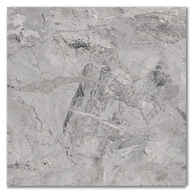 Royal Concrete Polished Porcelain Tile