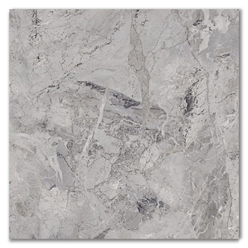 Royal Concrete Polished Porcelain Tile