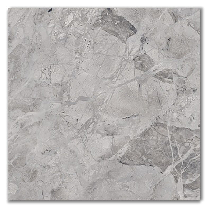 Royal Concrete Polished Porcelain Tile