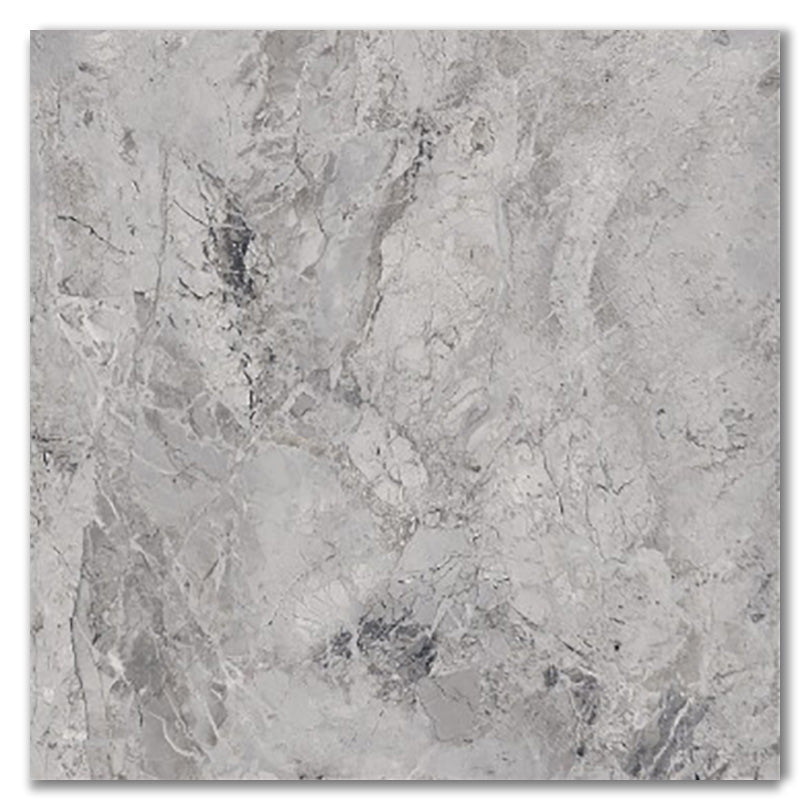 Royal Concrete Polished Porcelain Tile
